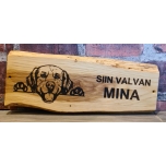 Siin valvan mina