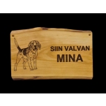 Siin valvan mina BEAGLE