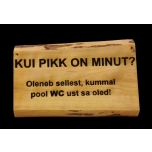 Kui pikk on minut...