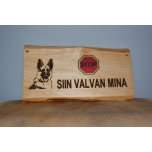 Siin valvan mina