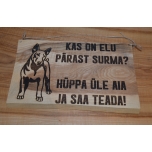 Kas on elu pärast surma...