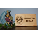 Siin valvan mina