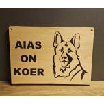 Aias on koer - Saksa lambakoer